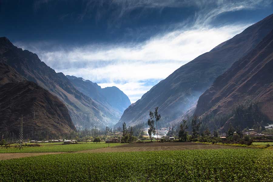 Organic agriculture near coffee growing areas in the Andres Mountains of Peru.